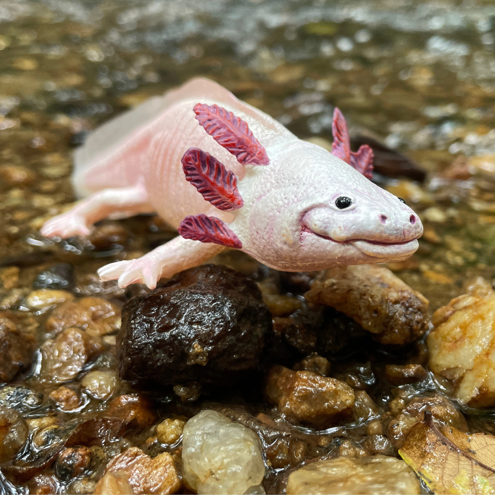 Safari Ltd. - Axolotl Kids Toy Figure