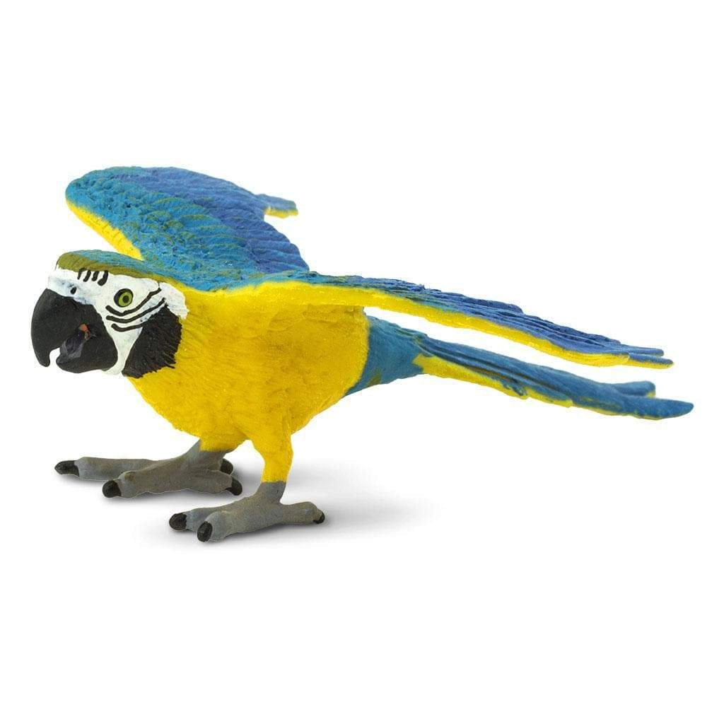 Safari Ltd. - Blue & Gold Macaw Kids Toy Figure