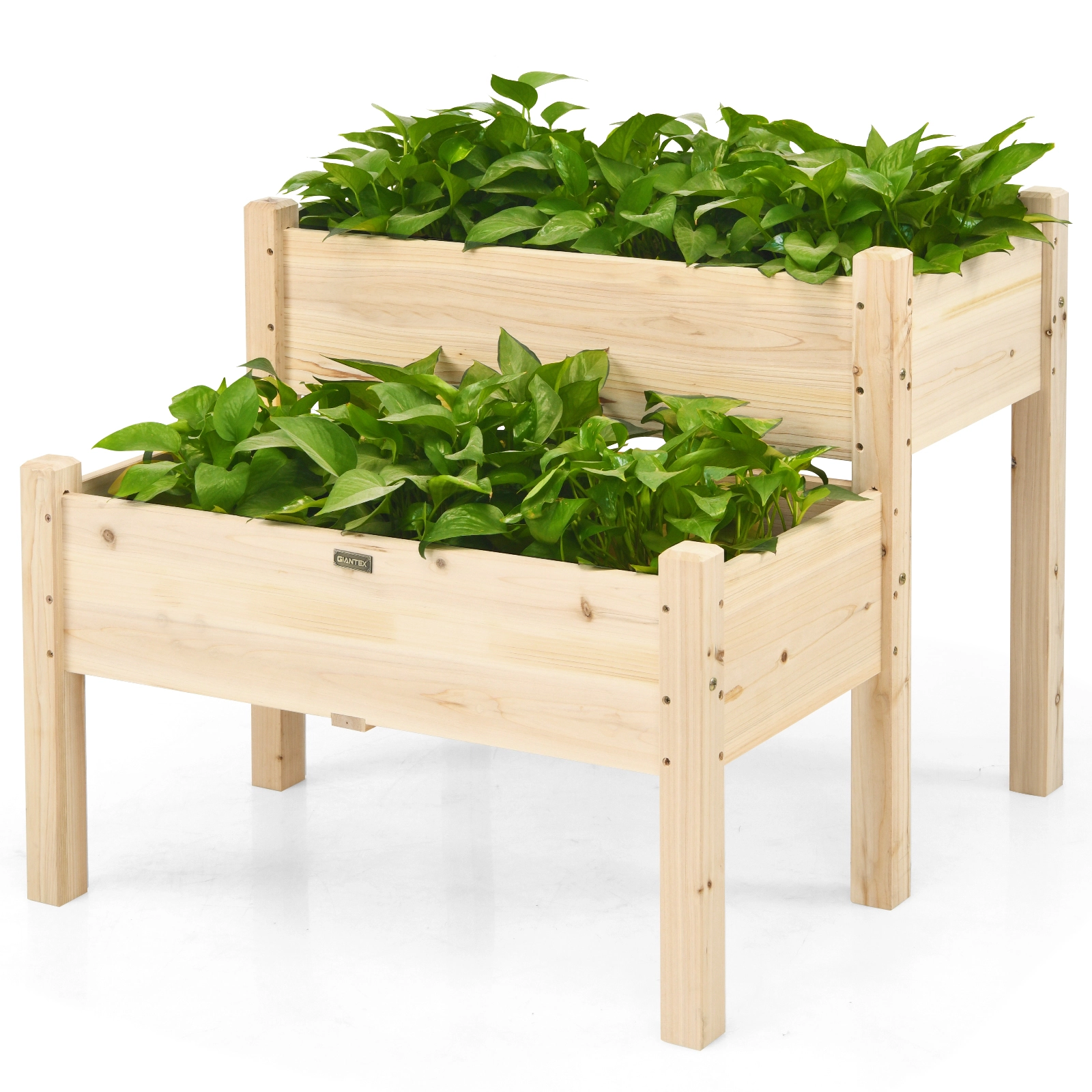 SUGIFT 2-Tier 34-in 110-lb Capacity Fir Wood Elevated Raised Garden Bed with Legs and Drainage Holes