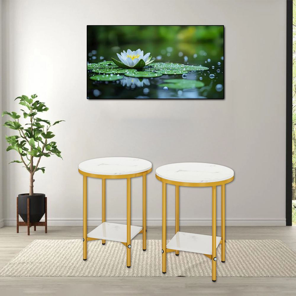 Hivvago Round Double-Tier Coffee Table with Open Storage Shelf