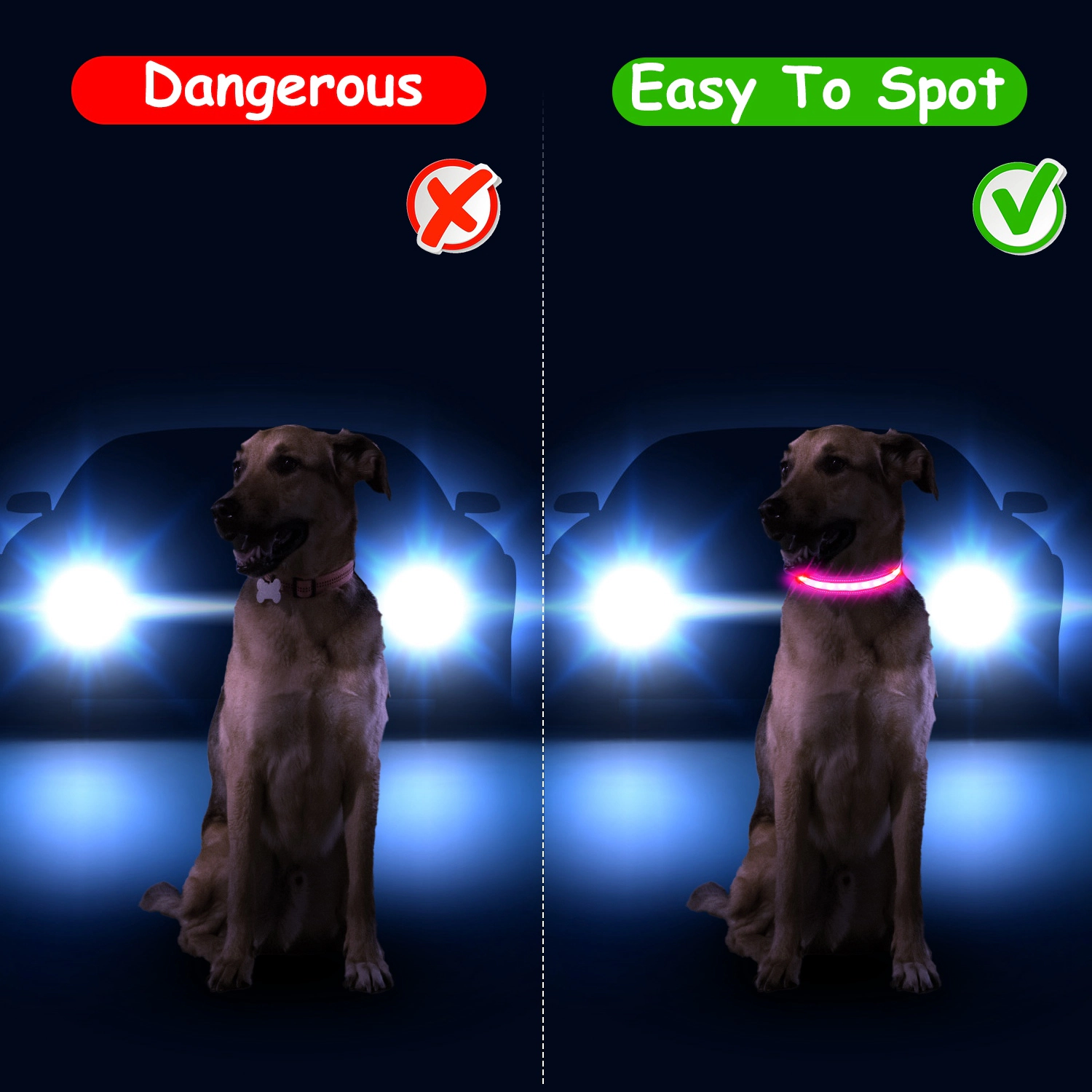 GBruno LED Rechargeable Dog Collar