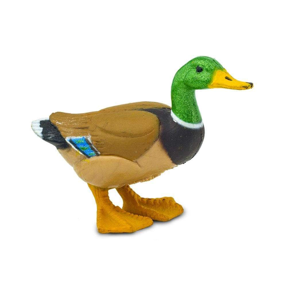Safari Ltd. - Mini Duck Kids Toy Figure