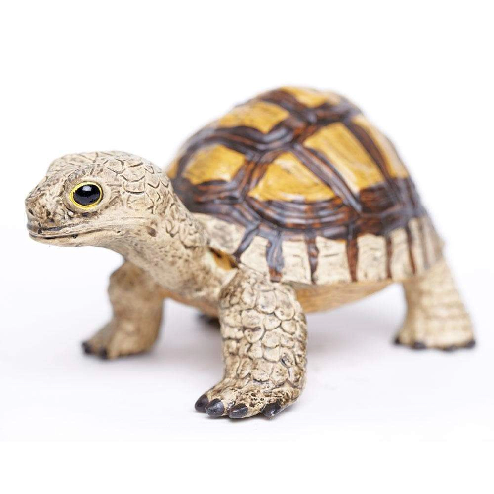 Safari Ltd. - Tortoise Kids Toy Figure