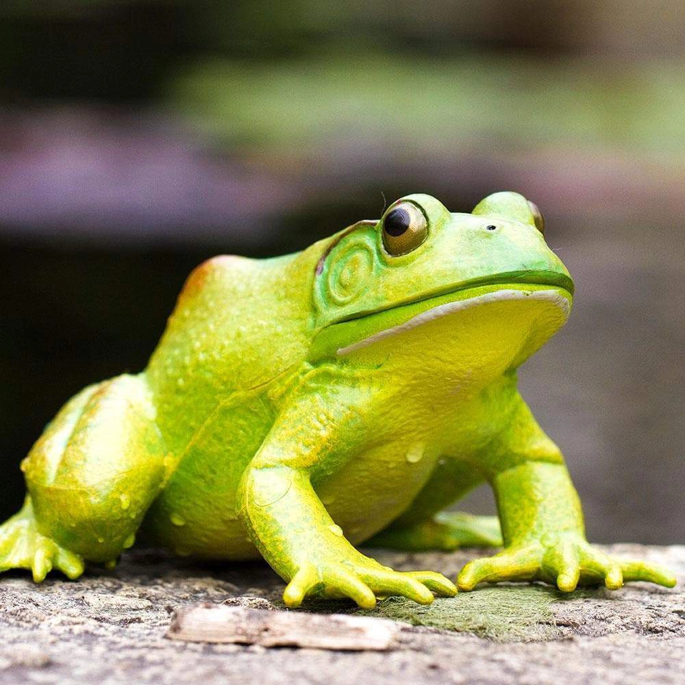 Safari Ltd. - American Bullfrog Kids Toy Figure
