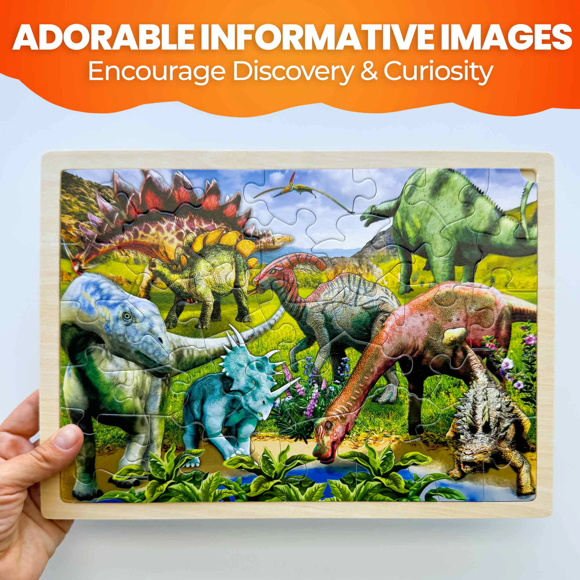 QUOKKA Montessori Wooden Jigsaw Puzzles, 24, 36 & 48 Piece Puzzle Set for Kids, Animals Dinosaurs, Ages 3+