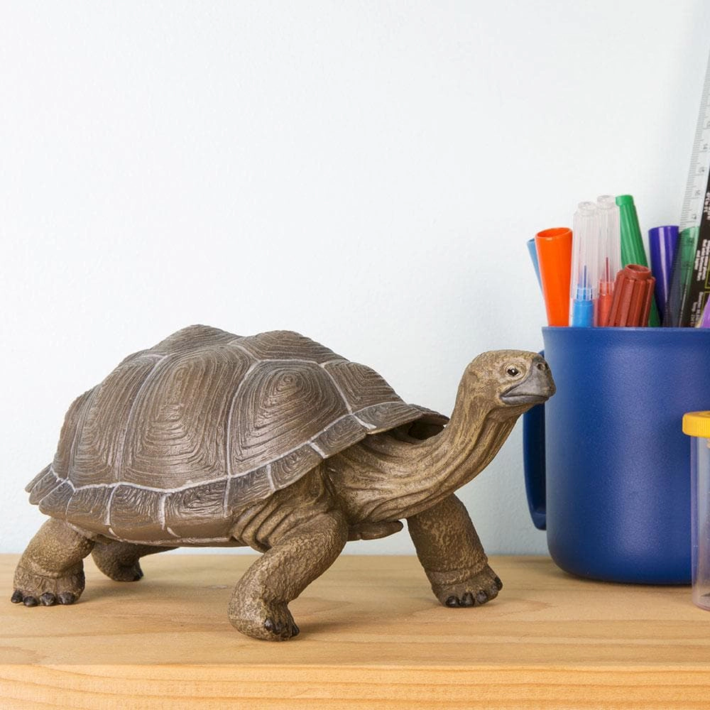Safari Ltd. - Tortoise Kids Toy Figure
