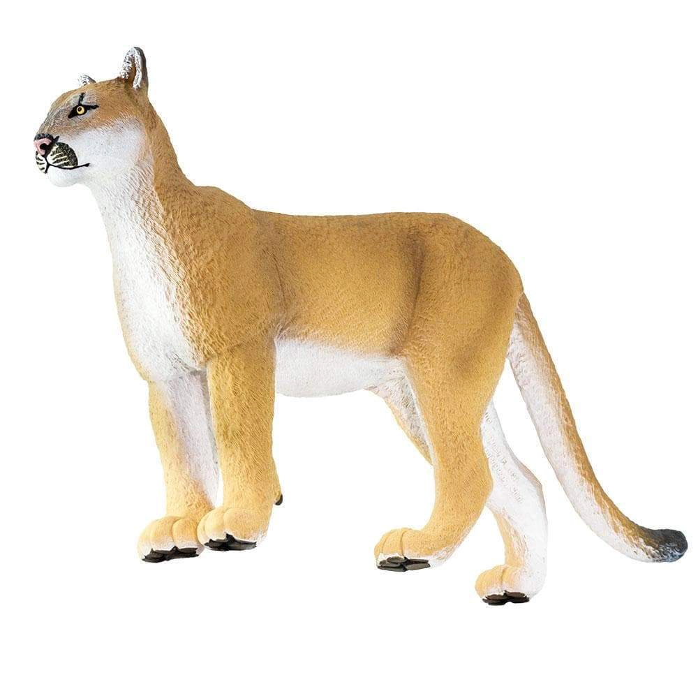 Safari Ltd. - Florida Panther Kids Toy Figure