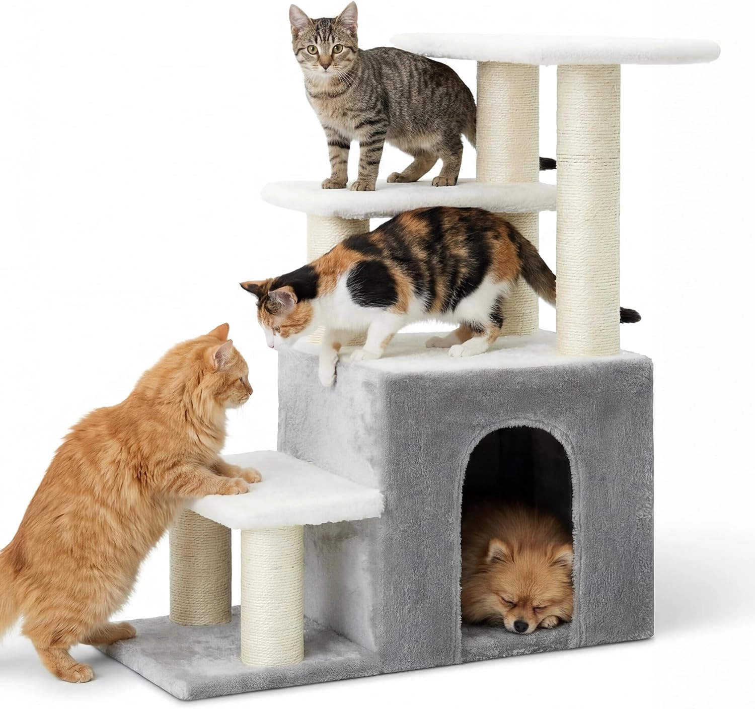 Heybly comes with a fully wrapped sisal cat tree.