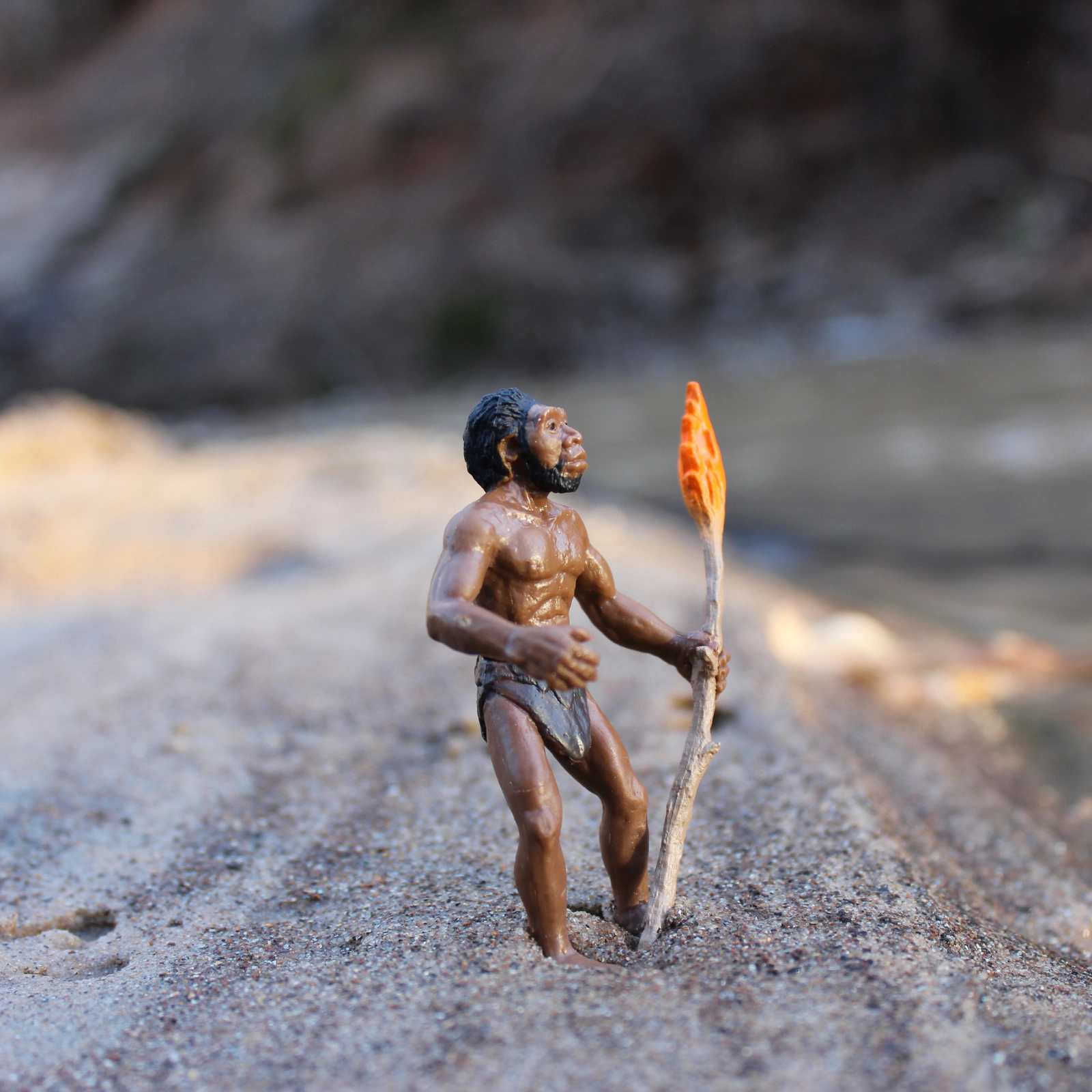 Safari Ltd. - Evolution of Man - Educational Human Evolution Toy Figurines