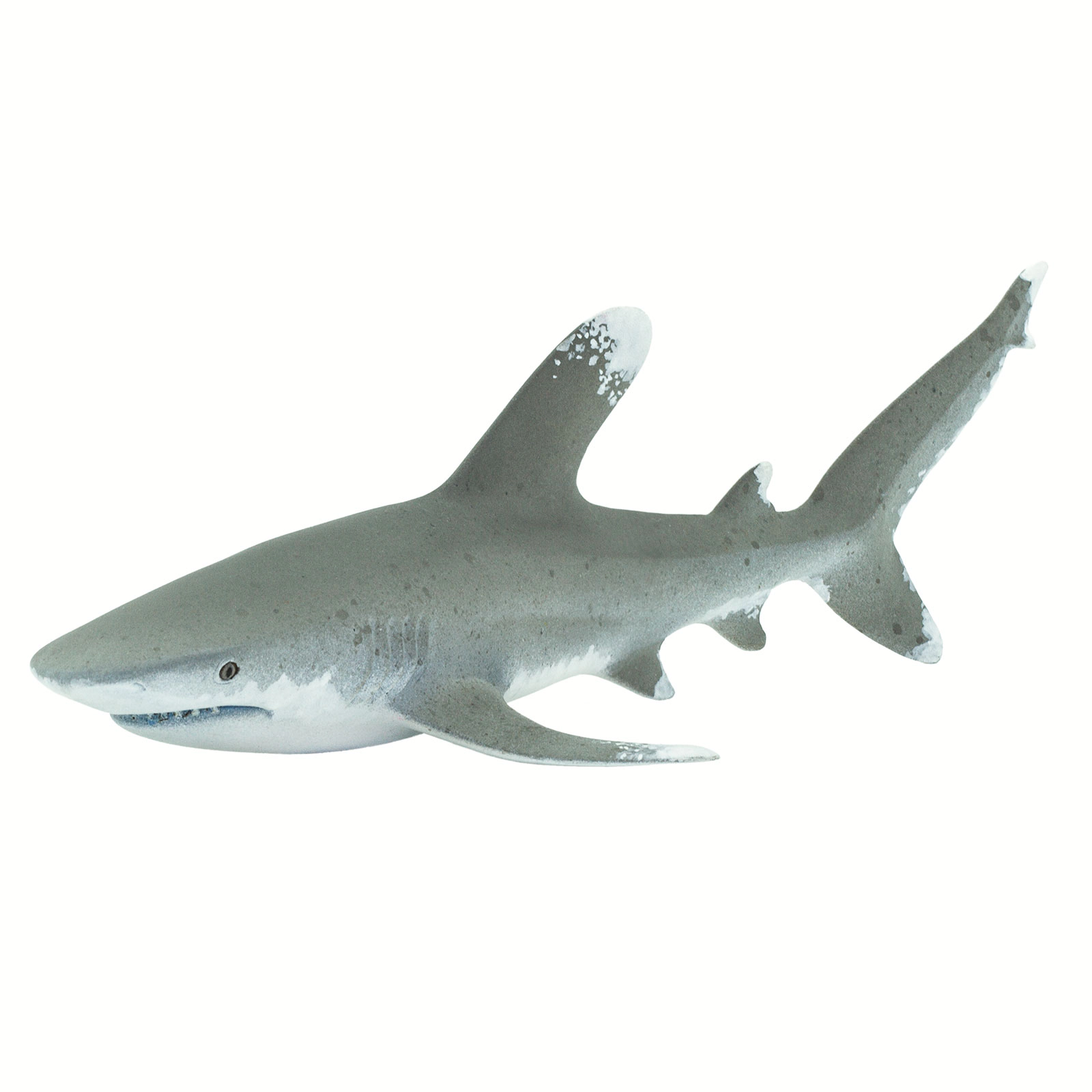 Safari Ltd. - Oceanic Whitetip Shark Kids Toy Figure