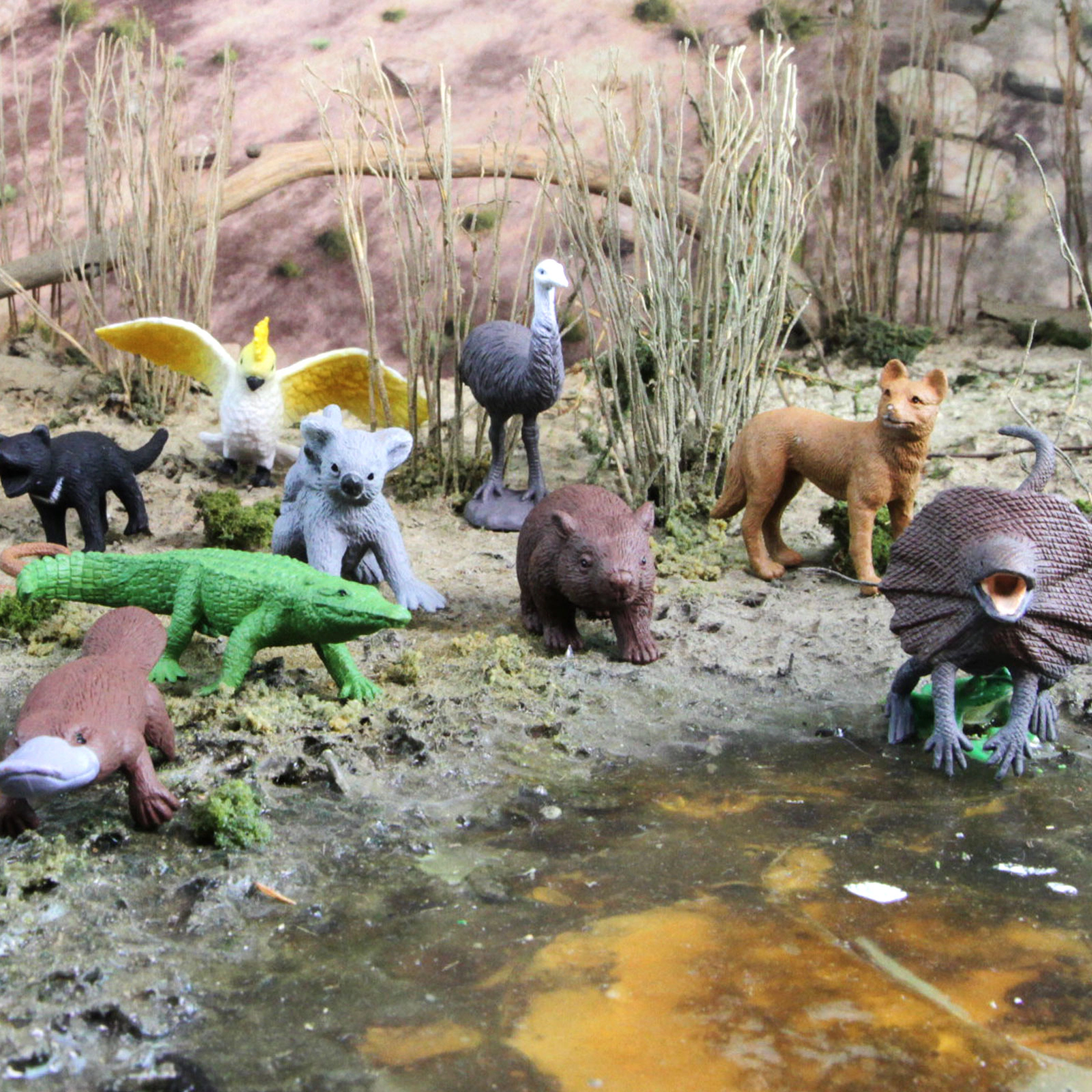 Safari Ltd. - Australian Animals TOOB - contains 11 Mini Figurines