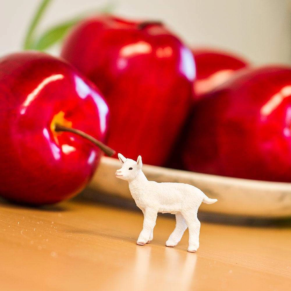 Safari Ltd. - Baby "Kid" Goat Kids Toy Figure