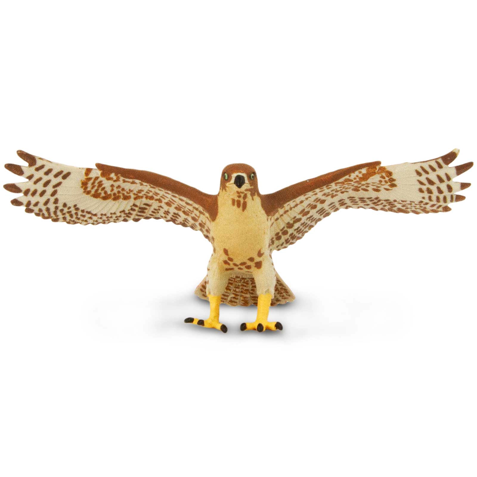 Safari Ltd. - Red-Tailed Hawk Kids Toy Figure