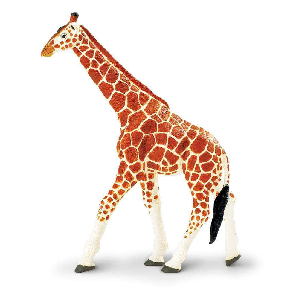 Safari Ltd. - Reticulated Giraffe Kids Toy Figure