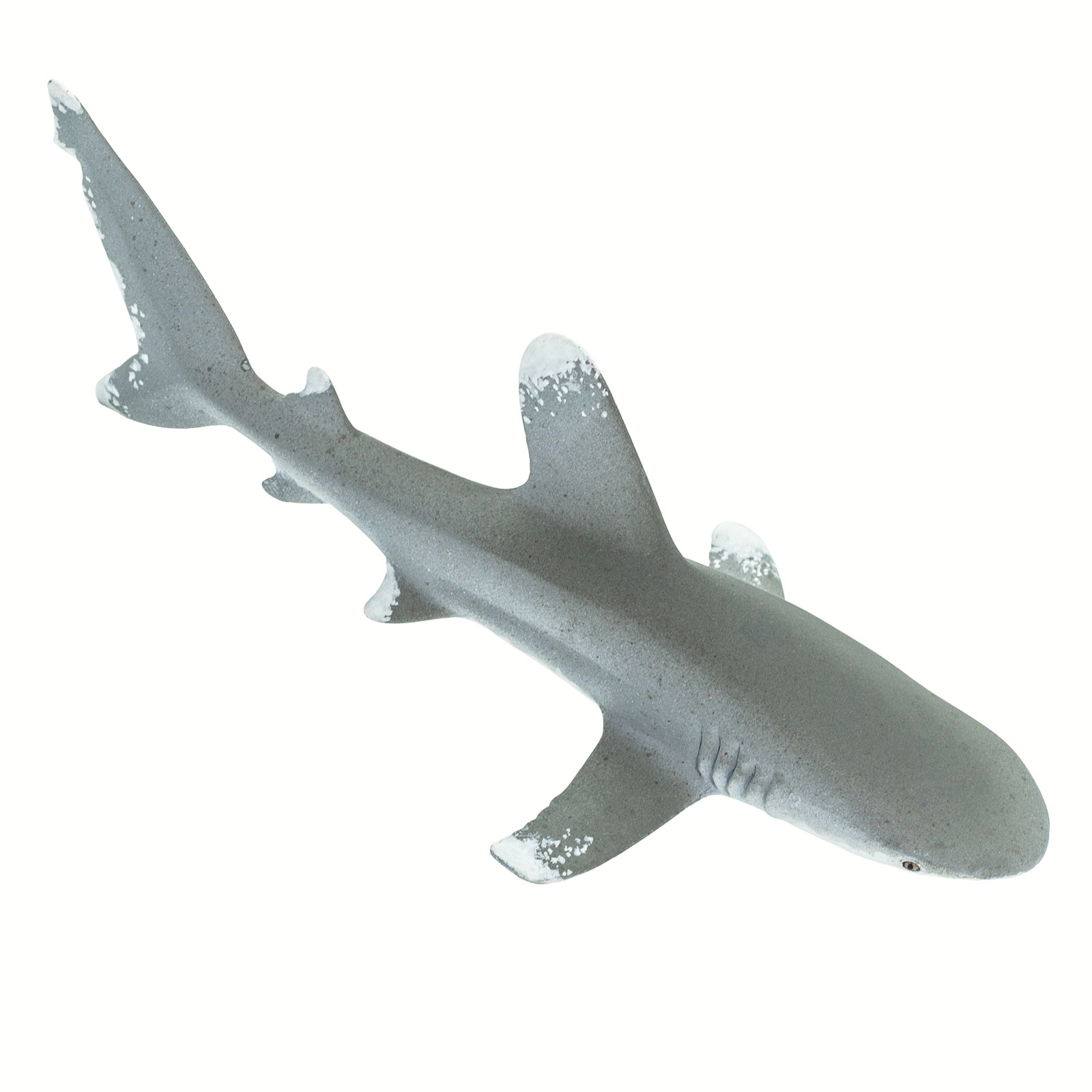 Safari Ltd. - Oceanic Whitetip Shark Kids Toy Figure