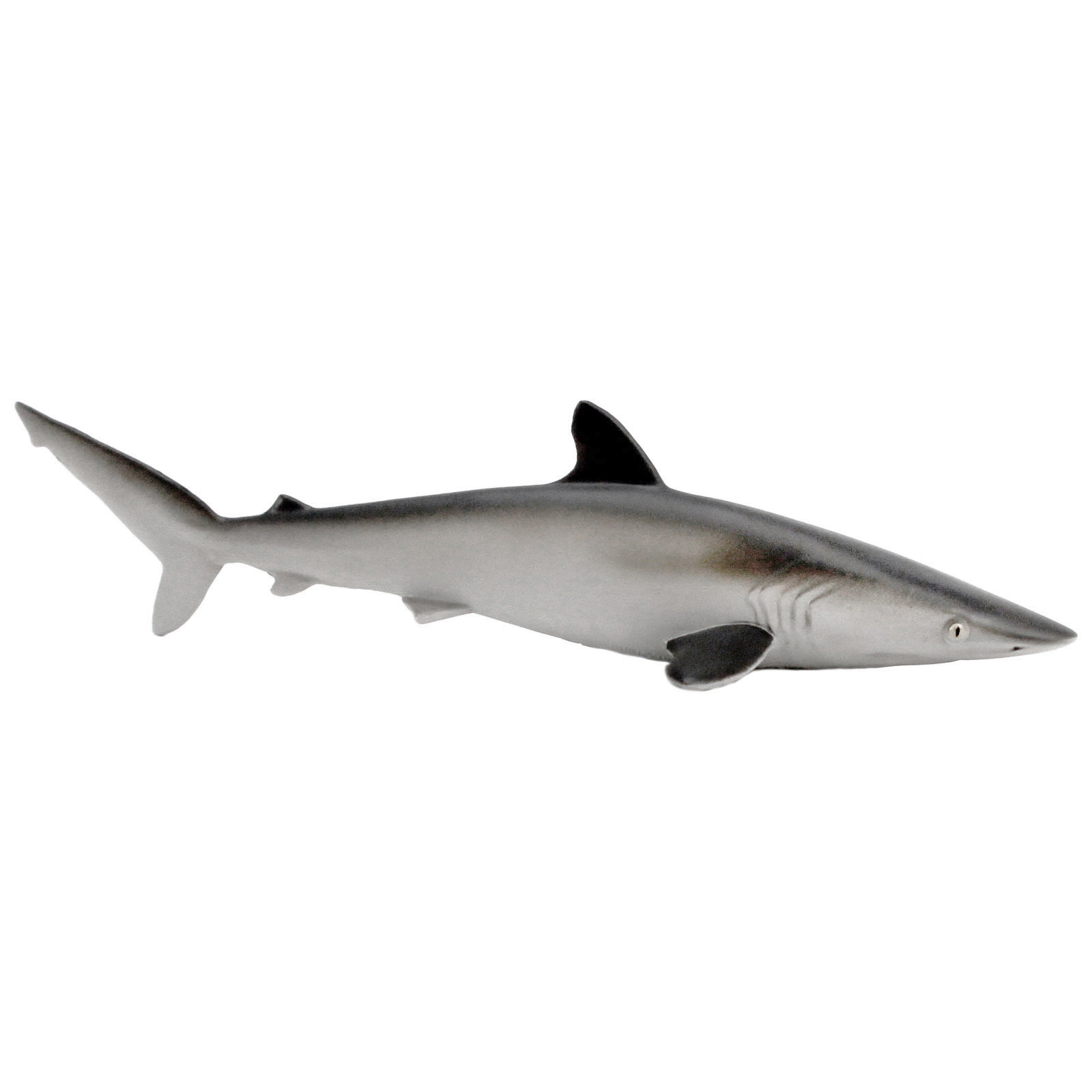 Safari Ltd. - Silky Shark Kids Toy Figure