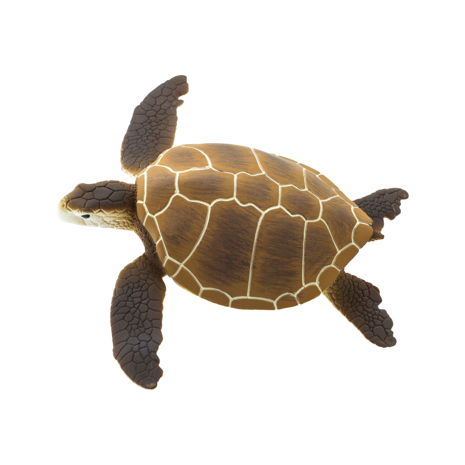 Safari Ltd. - Green Sea Turtle Kids Toy Figure
