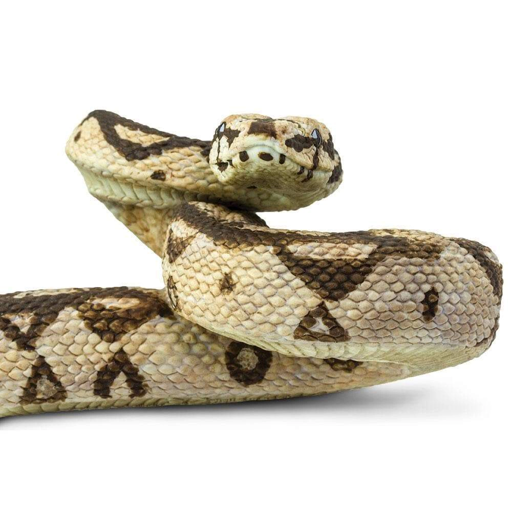 Safari Ltd. - Boa Constrictor Kids Toy Figure
