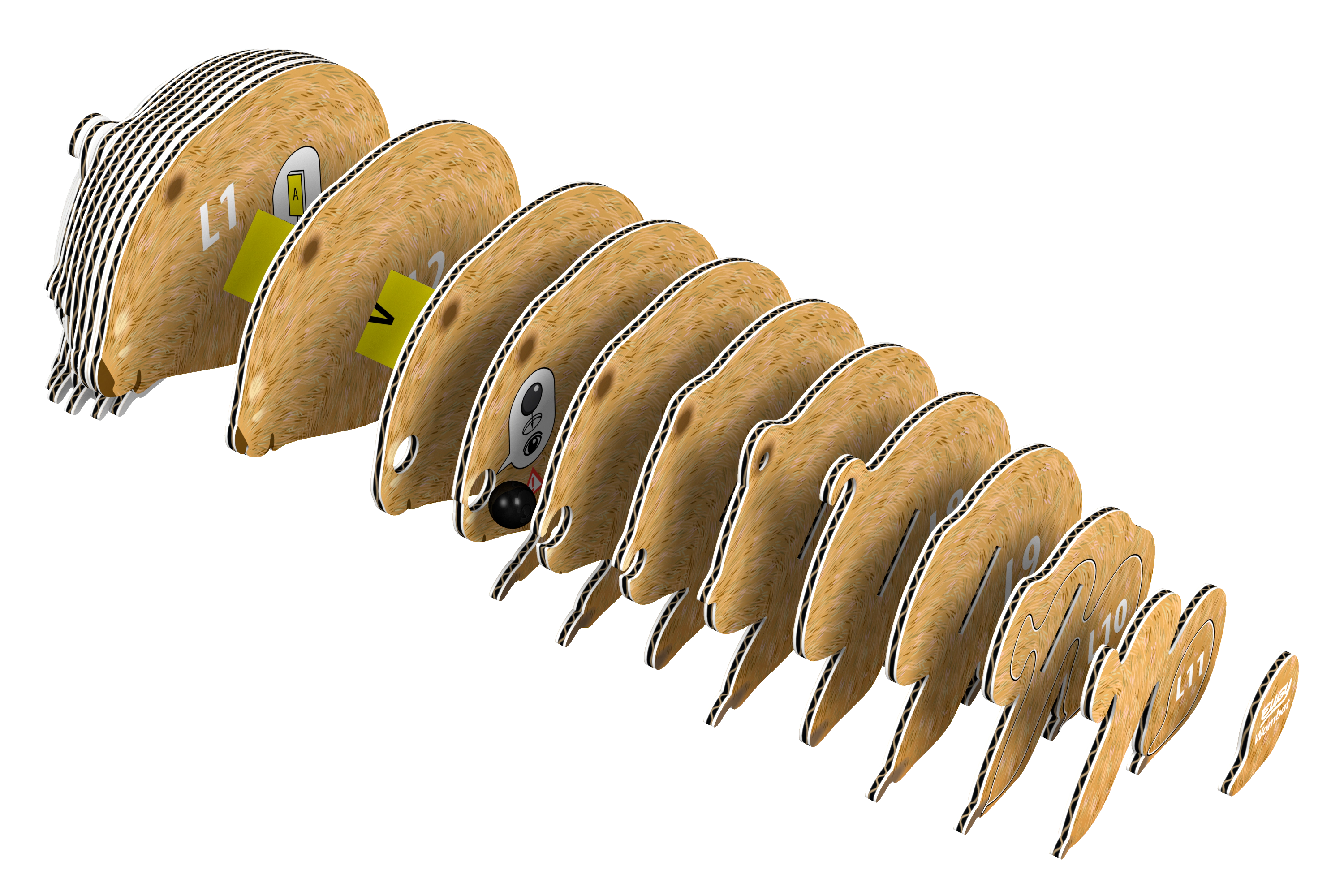 EUGY Wombat 3D Puzzle - contains 36 puzzle pieces