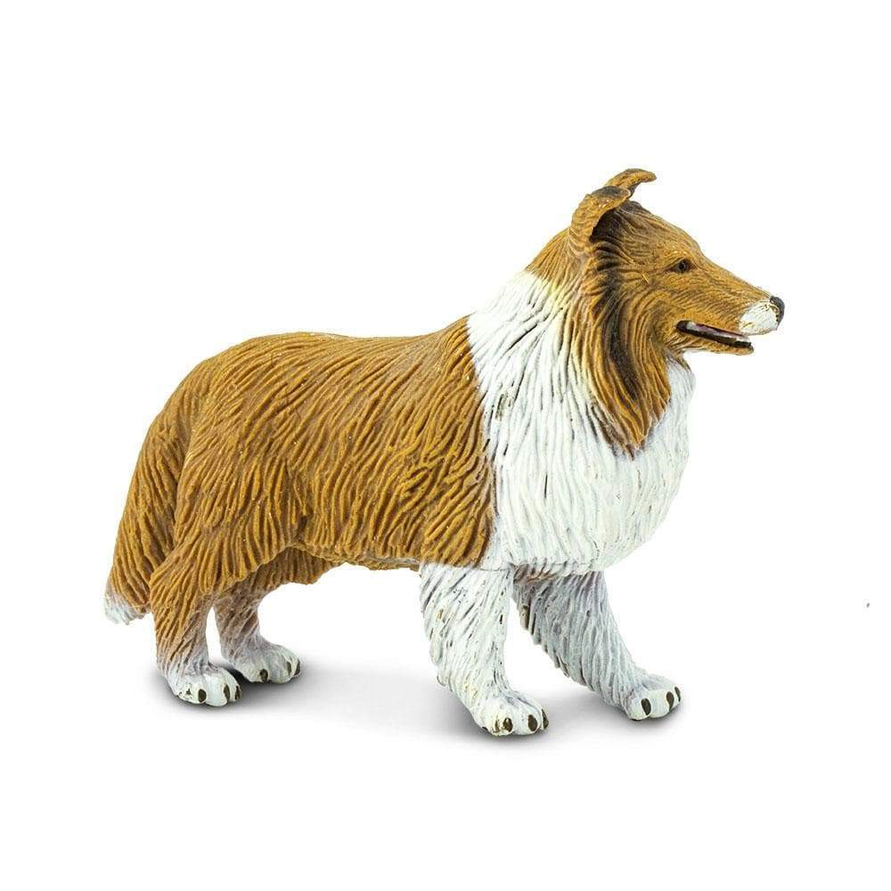 Safari Ltd. - Collie Kids Toy Figure