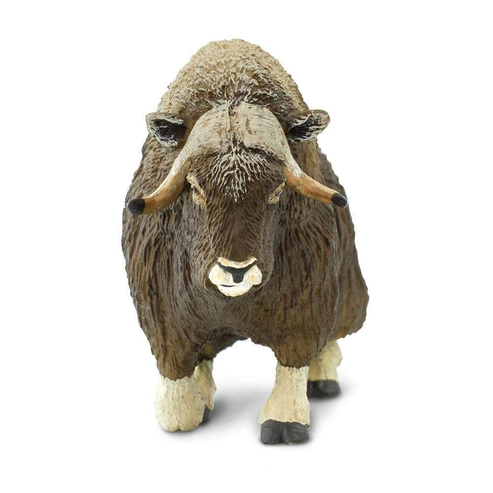 Safari Ltd. - Musk Ox Kids Toy Figure