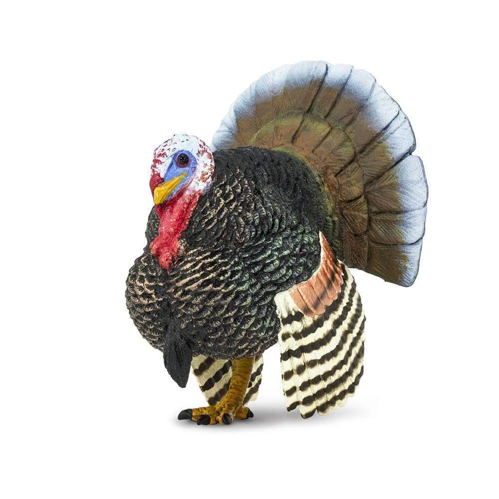 Safari Ltd. - Turkey Kids Toy Figure
