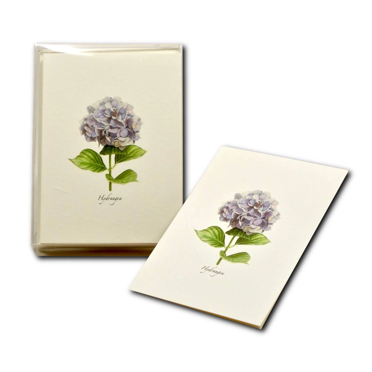Earth Sky + Water Hydrangea Notecard Set - 8 Blank Cards with Envelopes