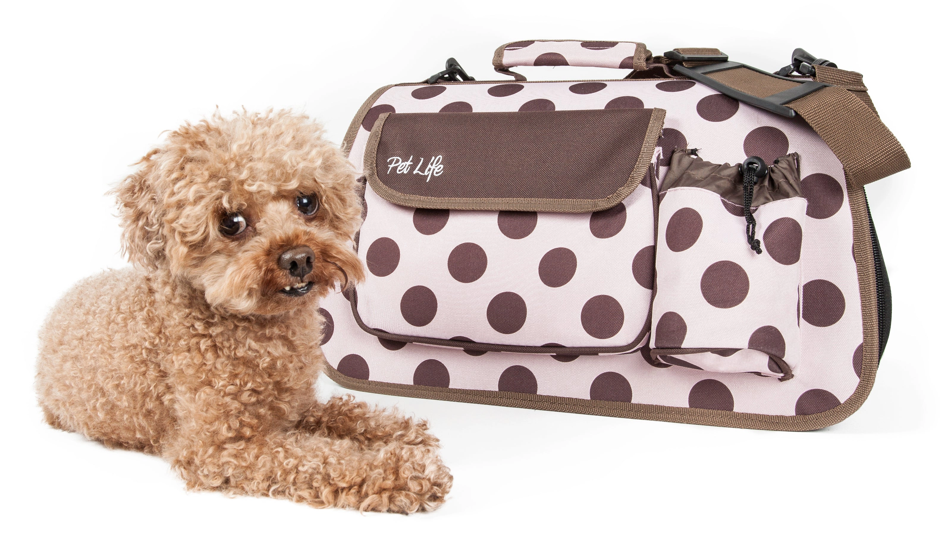 Pet Life ® Airline Approved Folding Zippered Casual Pet Carrier