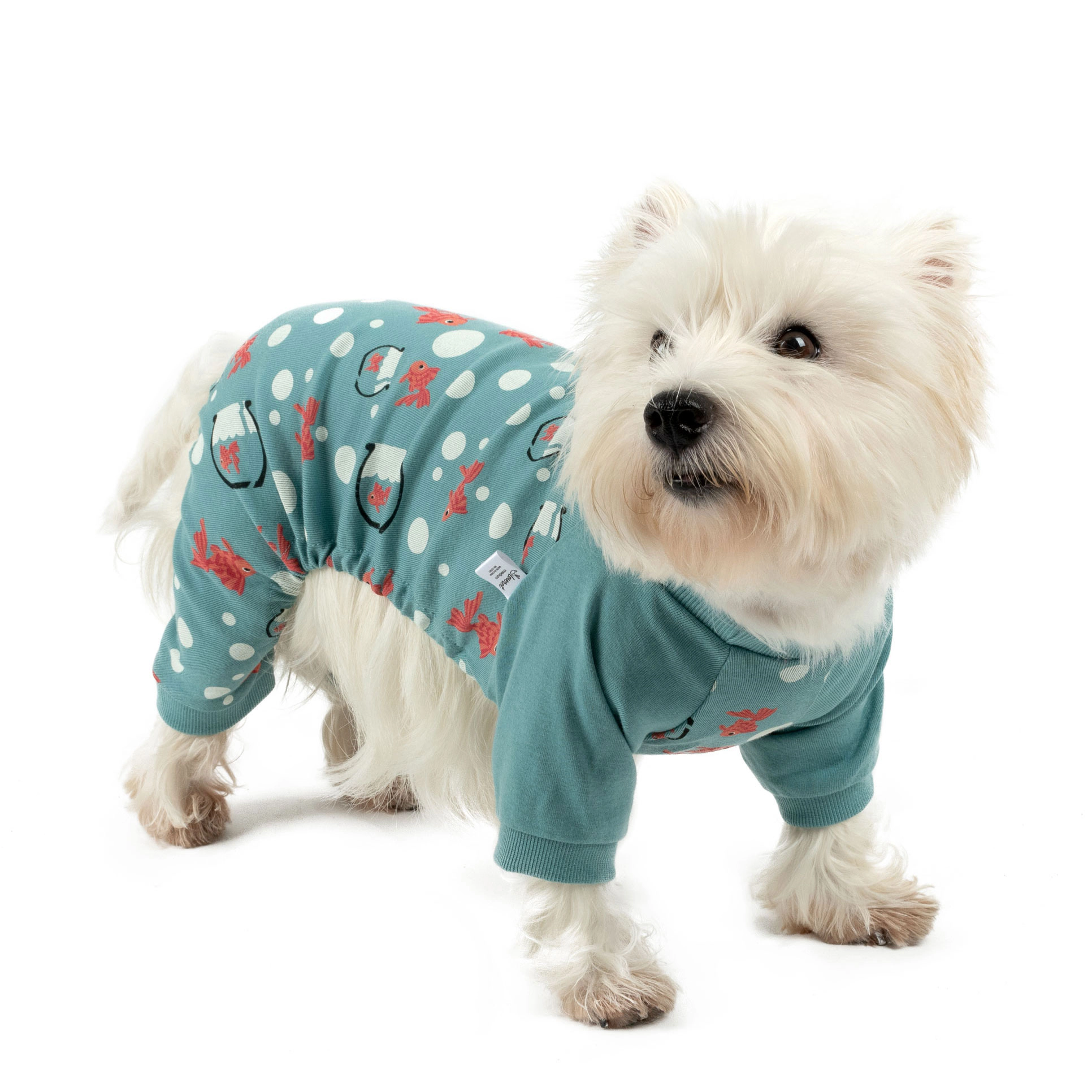 Leveret Dog Cotton Animal & Nature Print Pajamas