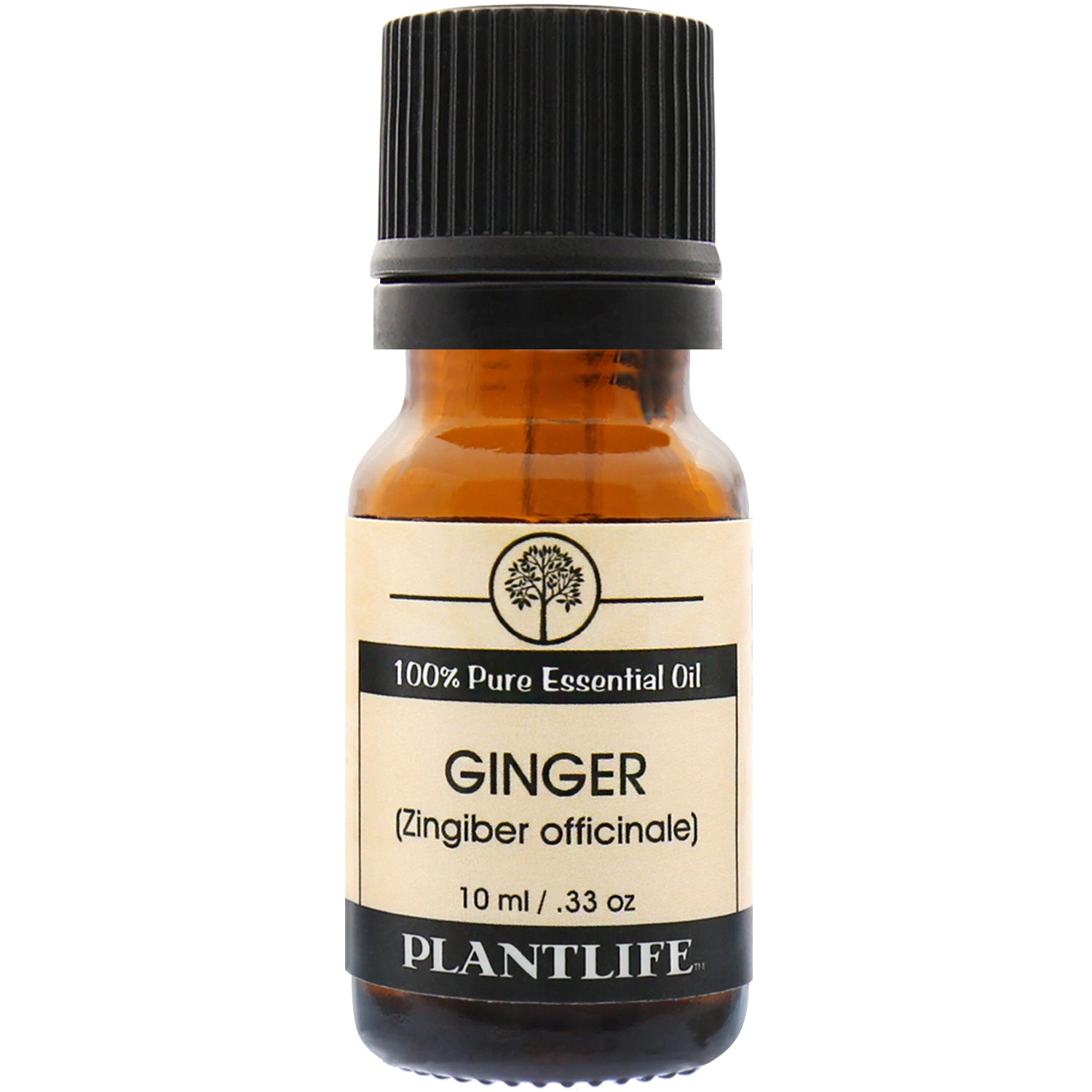 Plantlife Ginger Essential Oil