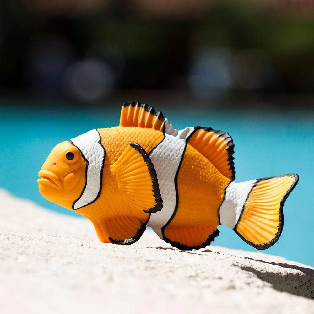 Safari Ltd. - Clown Anemonefish Kids Toy Figure