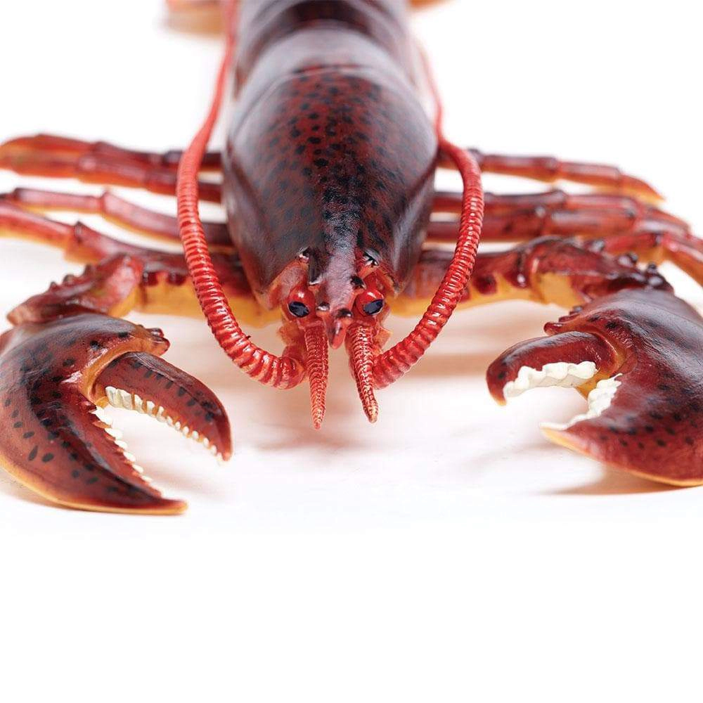 Safari Ltd. - Maine Lobster Kids Toy Figure