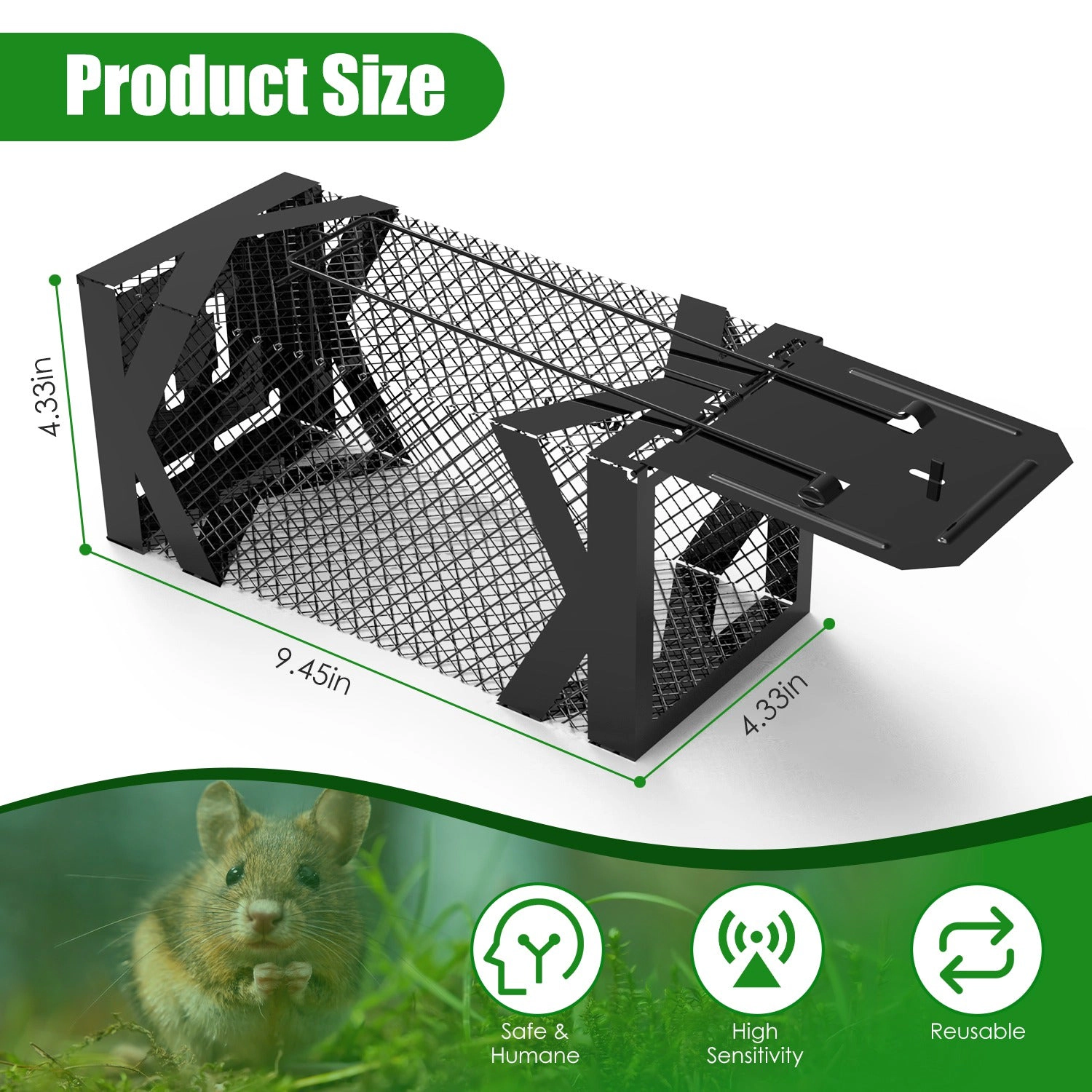 GBruno 2-Pc Live Catch Mouse Trap Cage