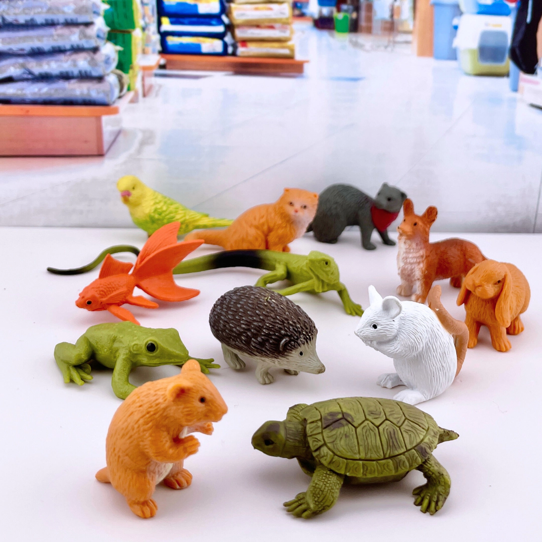 Safari Ltd. - Pet Animal TOOB - contains 12 Mini Figurines