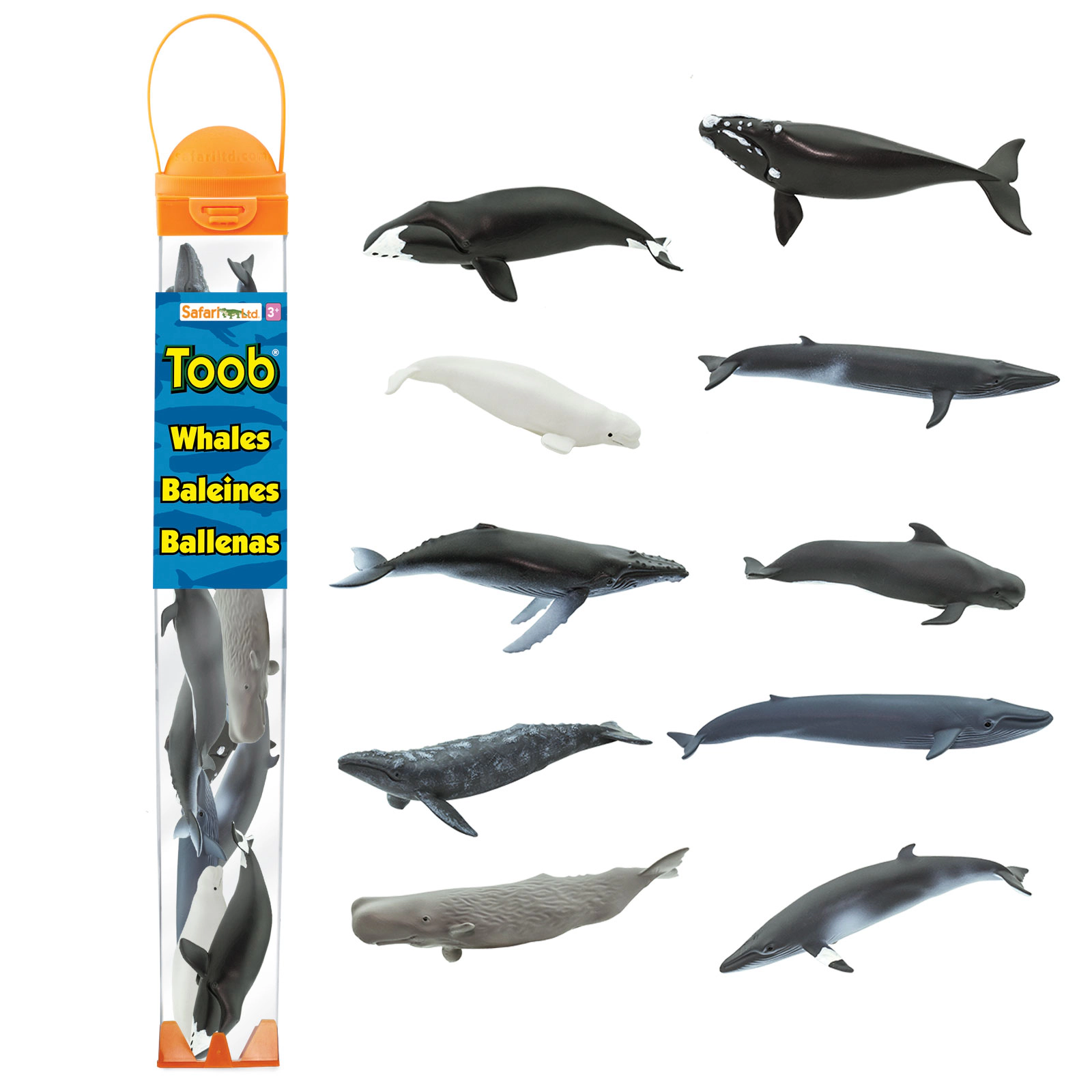 Safari Ltd. - Whales TOOB - contains 10 Mini Figurines