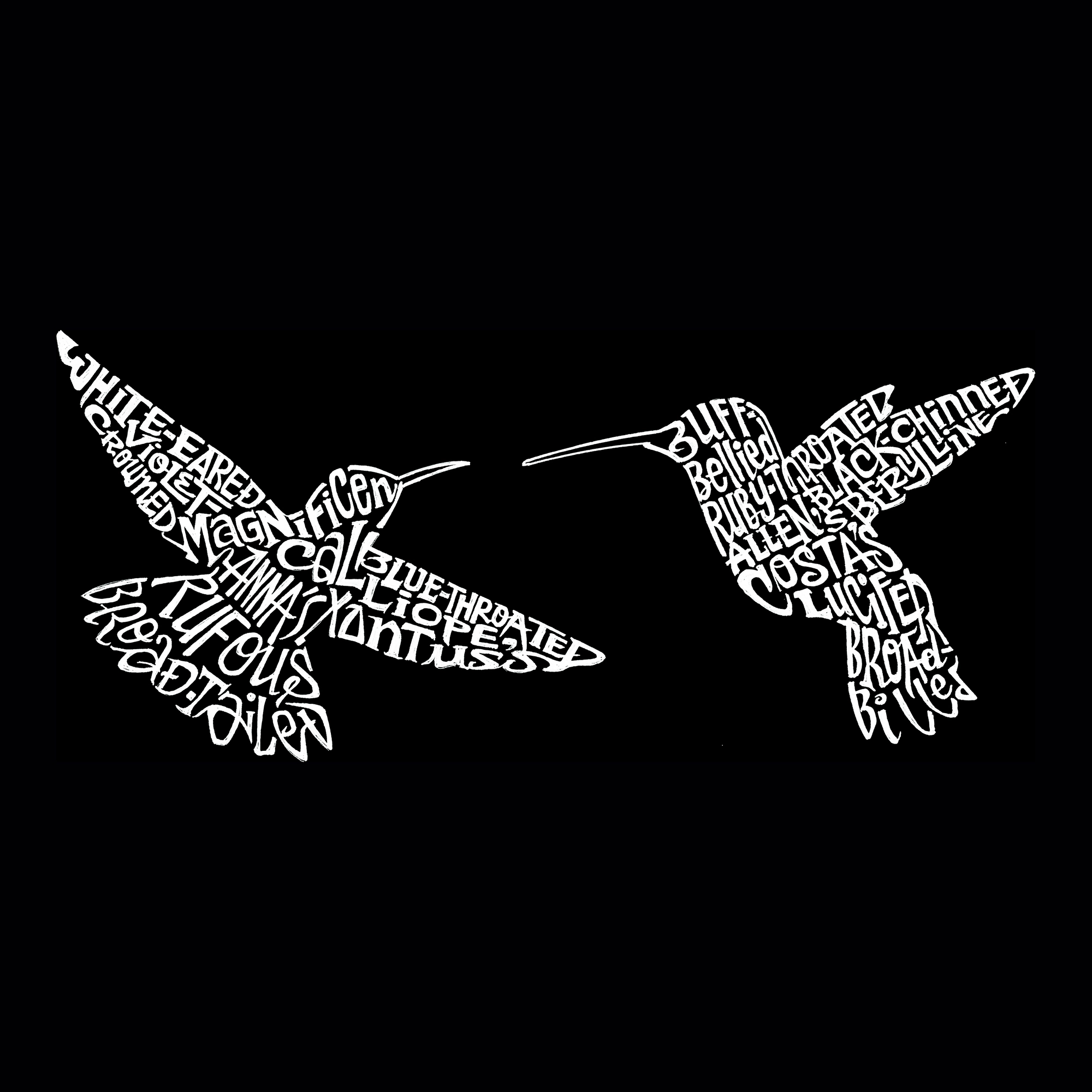 LA Pop Art Men's Word T-Shirt - Hummingbirds