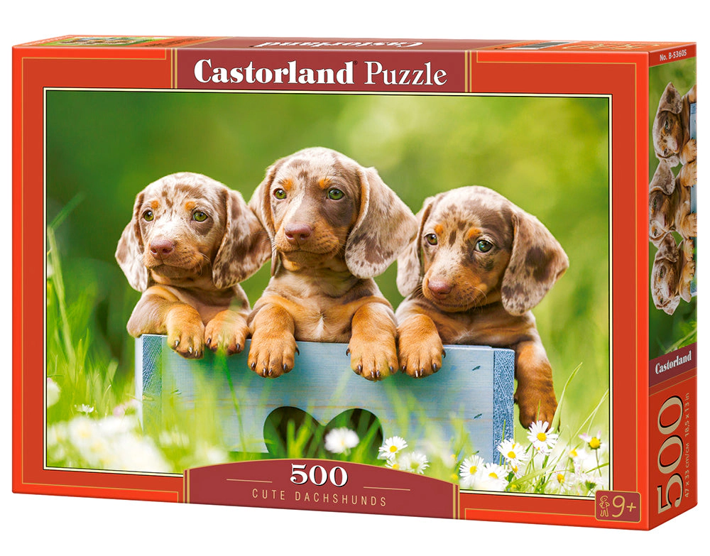 CASTORLAND 500 Piece Jigsaw Puzzles, Cute Dachshunds , Animal puzzle, Dogs, Puppies, Adult Puzzle, Castorland B-53605