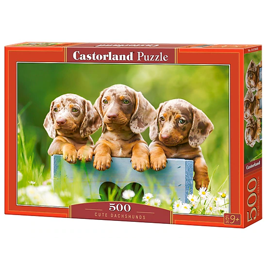 CASTORLAND 500 Piece Jigsaw Puzzles, Cute Dachshunds , Animal puzzle, Dogs, Puppies, Adult Puzzle, Castorland B-53605