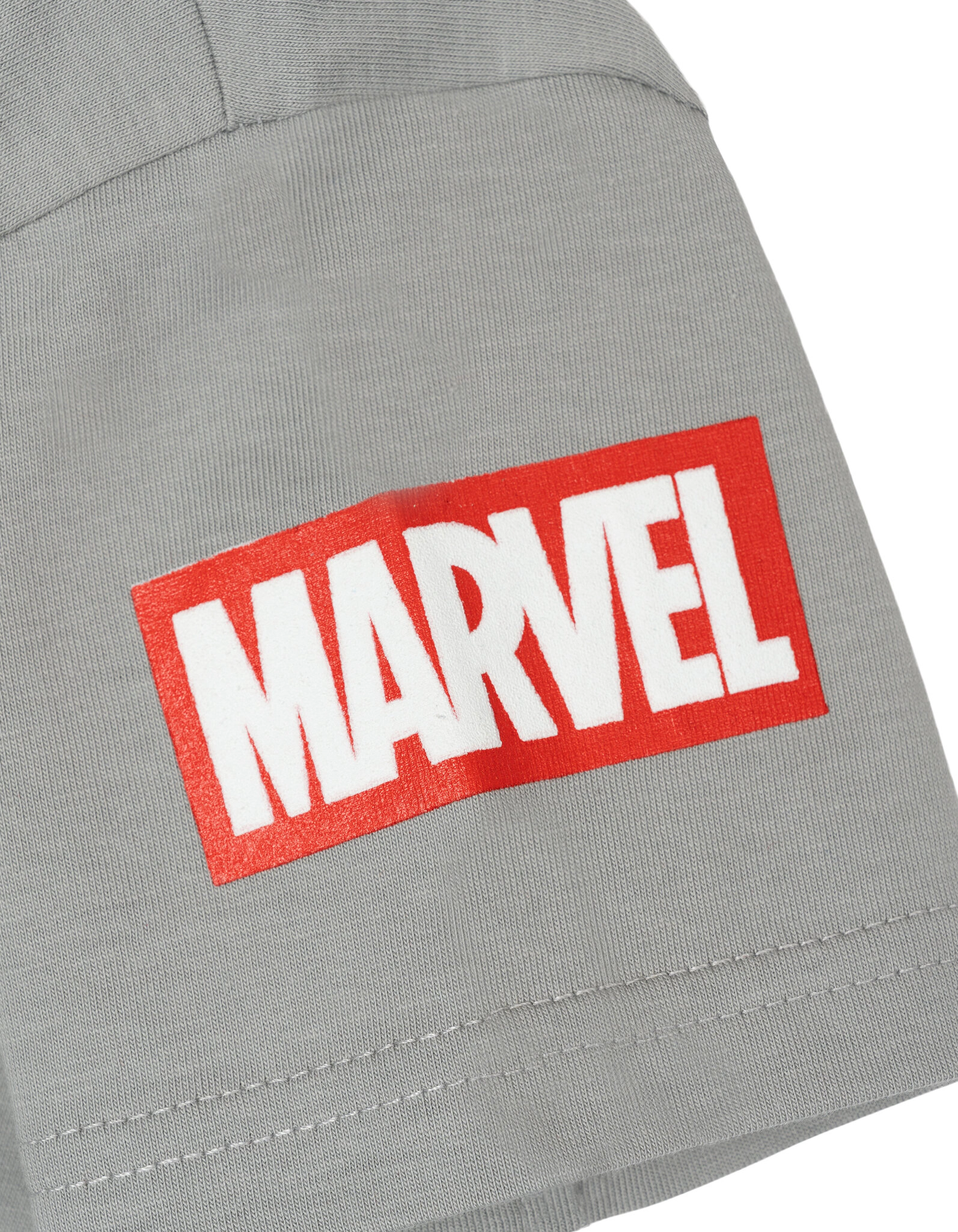 Marvel Spidey and His Amazing Friends Boys' 2-Piece T-Shirt Fleece Pants Set