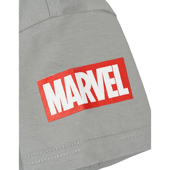 Marvel Spidey and His Amazing Friends Boys' 2-Piece T-Shirt and Fleece Pants Set