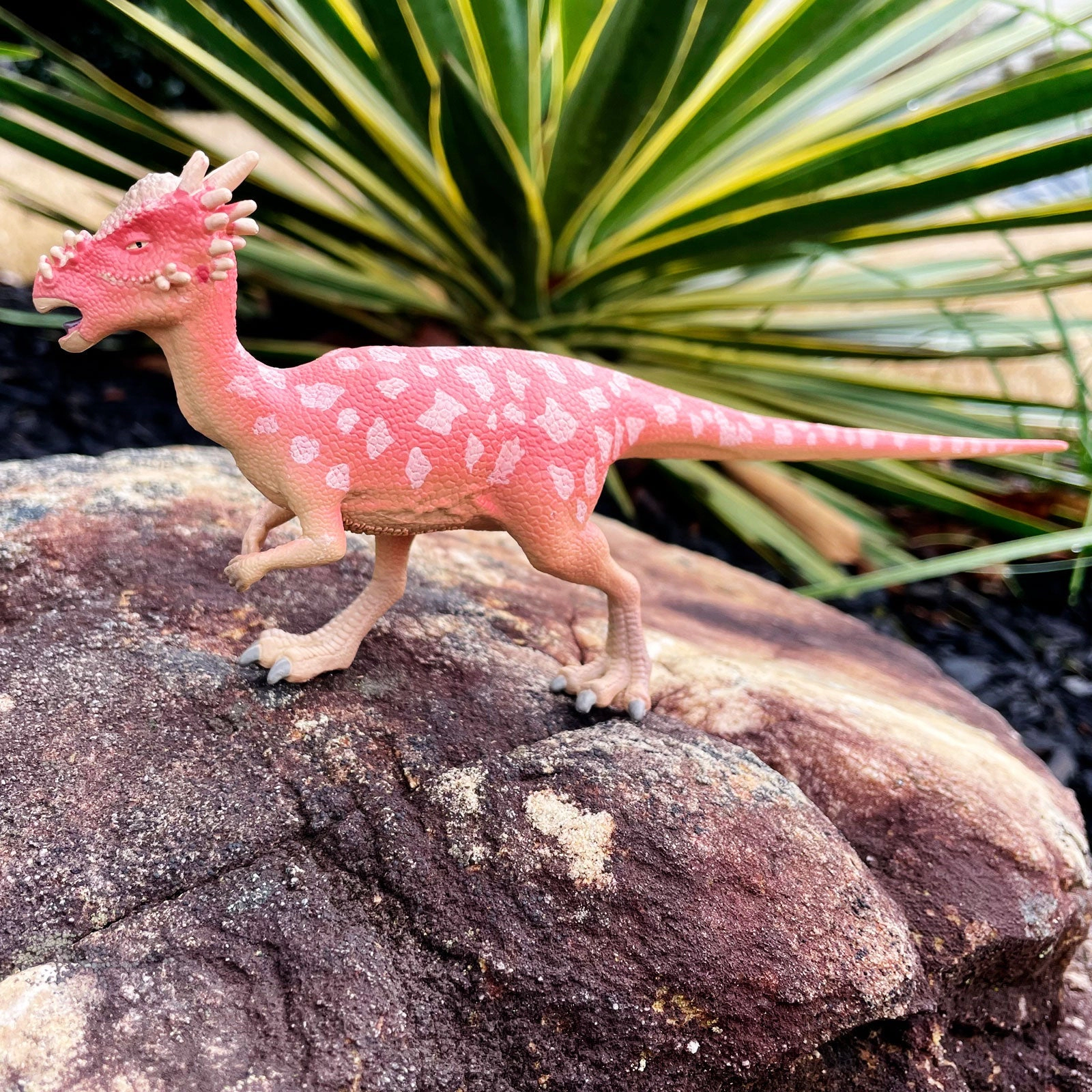 Safari Ltd. - Dino Dana Stygimoloch Kids Prehistoric/Dinosaur Toy Figure