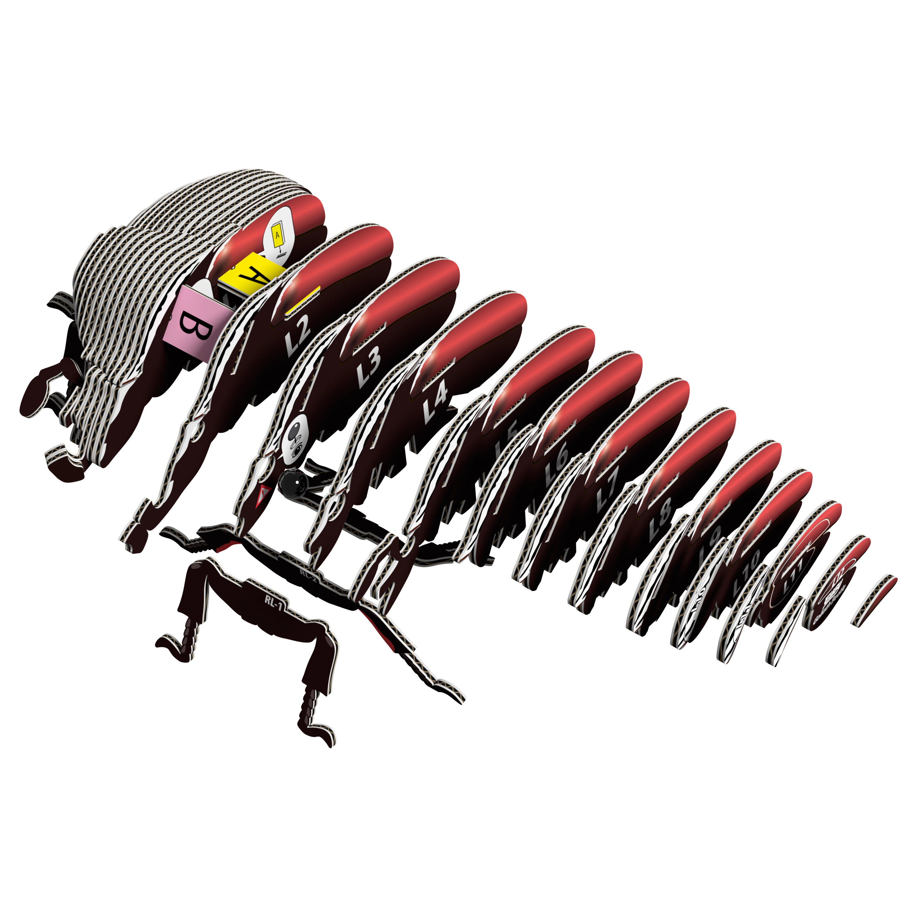 EUGY Goliath Beetle 3D Puzzle - contains 36 puzzle pieces