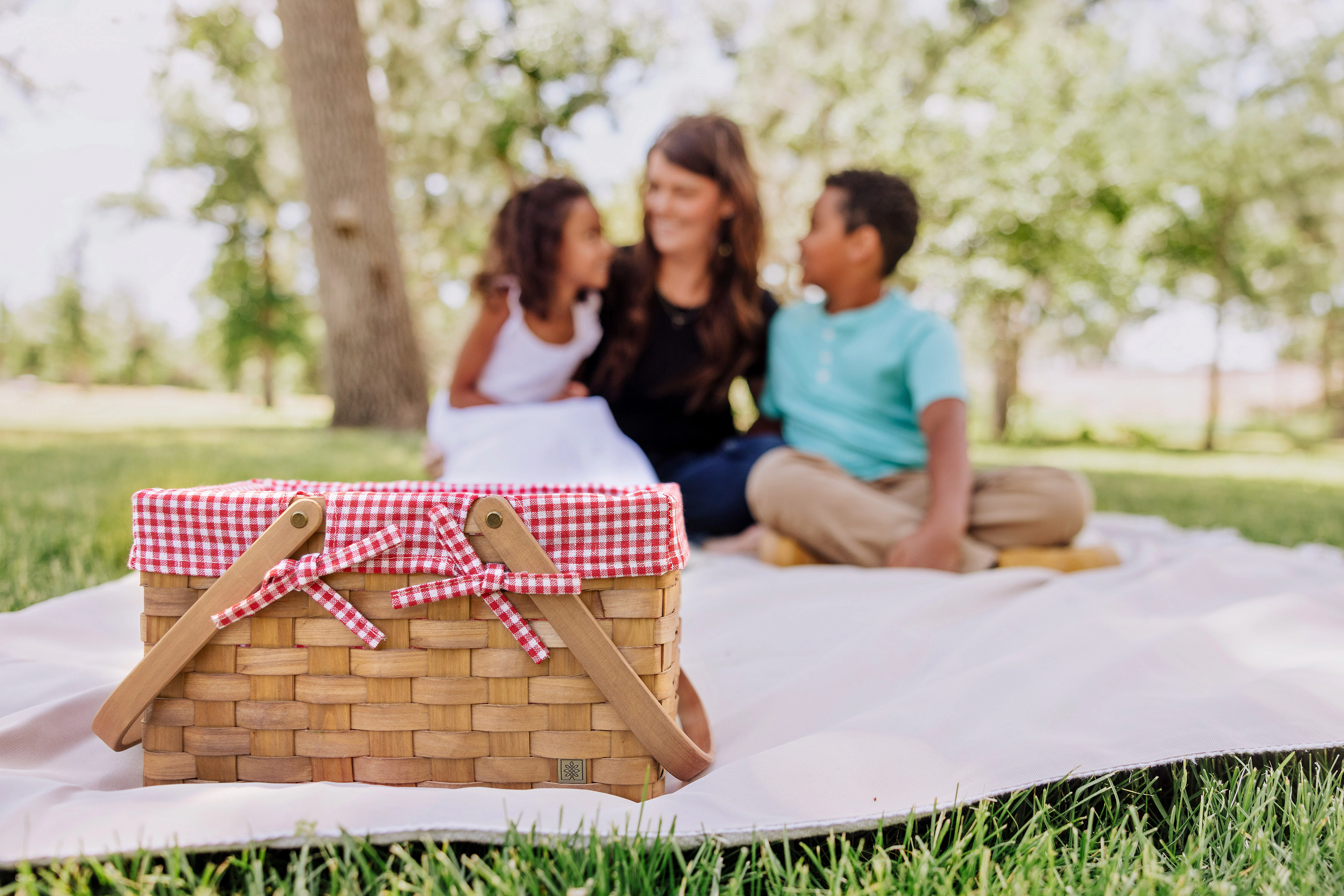 PICNIC TIME Farmhouse Basket