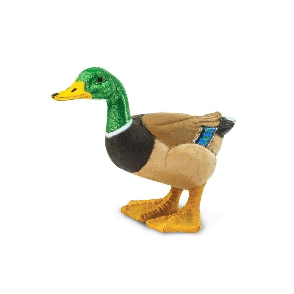 Safari Ltd. - Mini Duck Kids Toy Figure