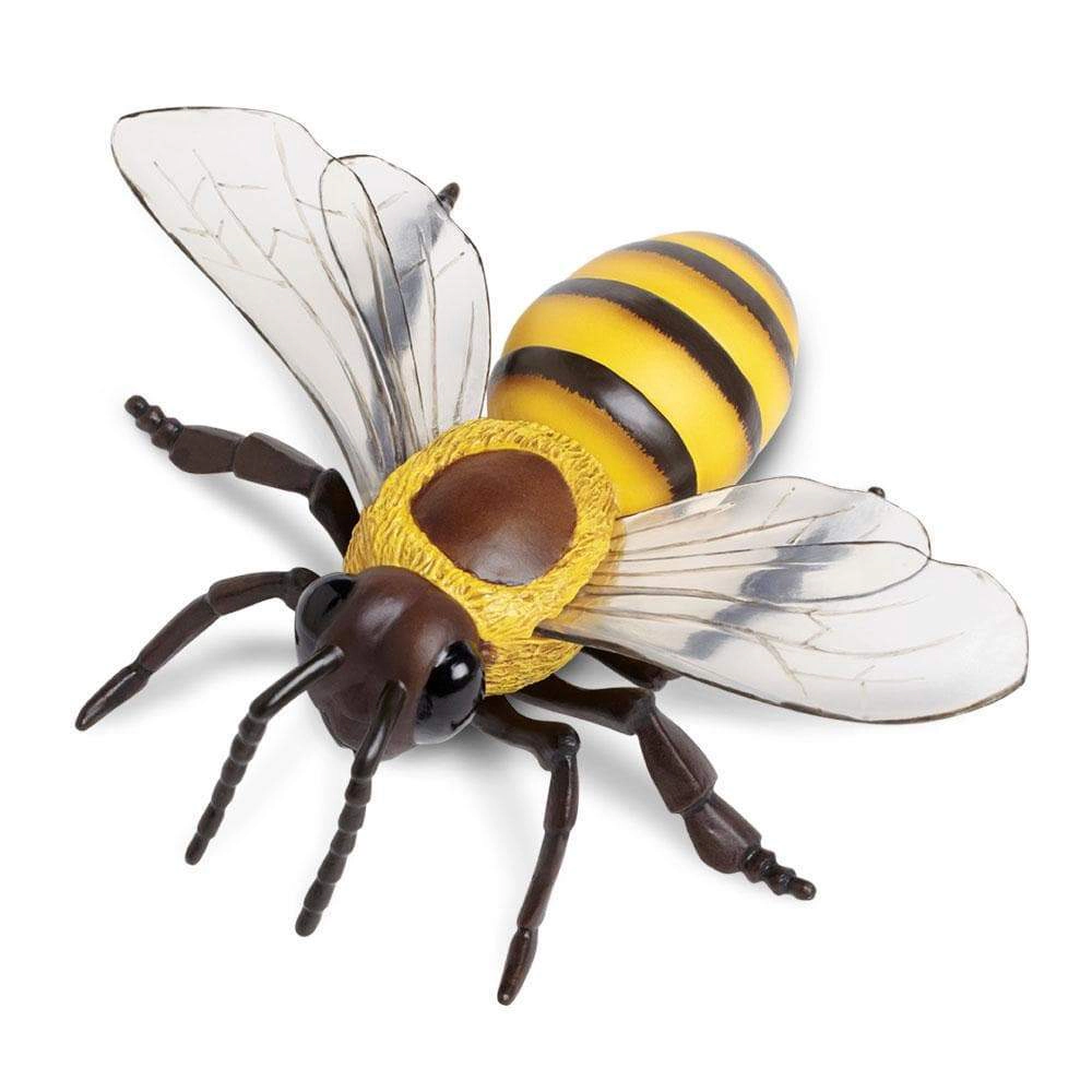 Safari Ltd. - Honey Bee Kids Toy Figure