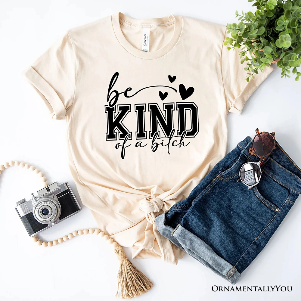 OrnamentallyYou Womens Sarcastic Be Kind T-Shirt