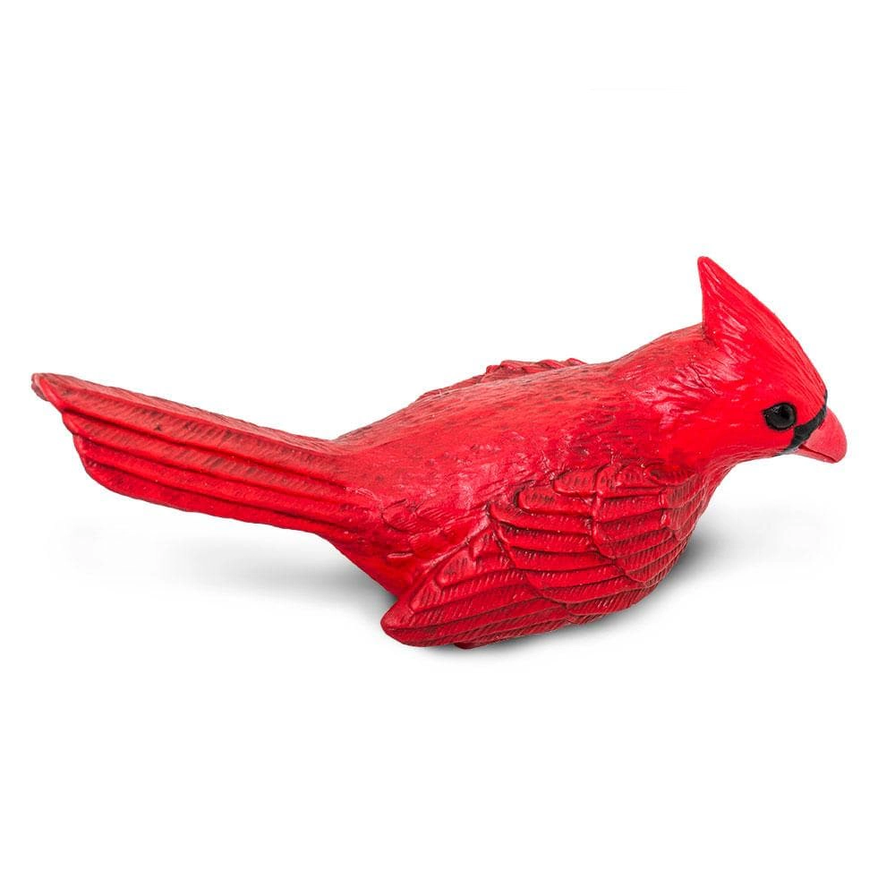 Safari Ltd. - Cardinal Kids Toy Figure