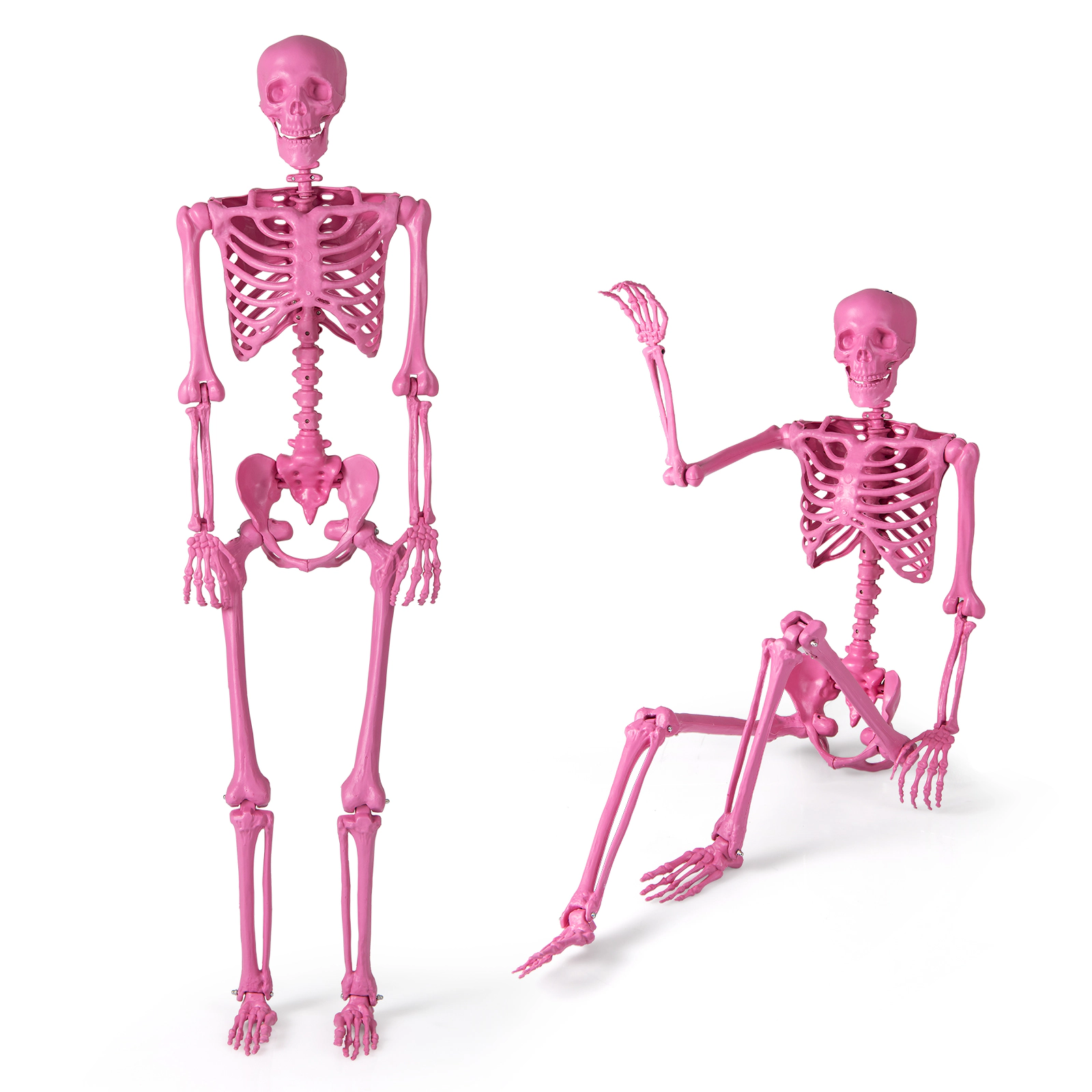 LJG 5.5 FT Life-Size Halloween Poseable Skeleton Pink Movable Joints