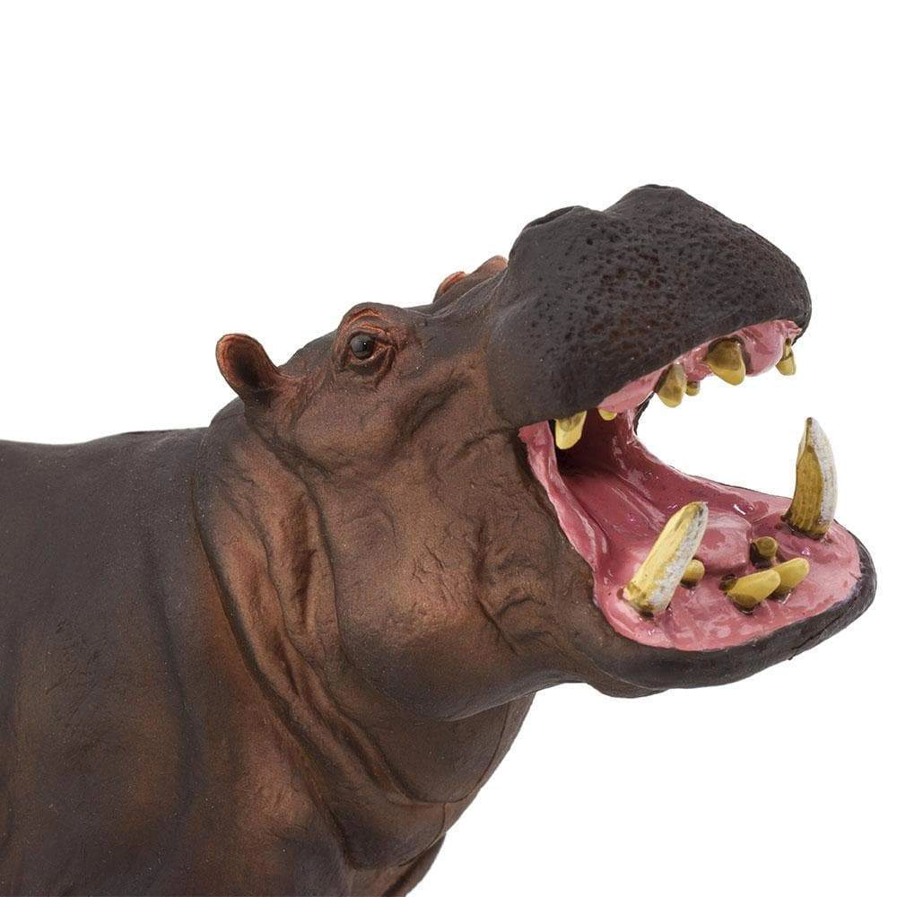 Safari Ltd. - Hippopotamus Kids Toy Figure