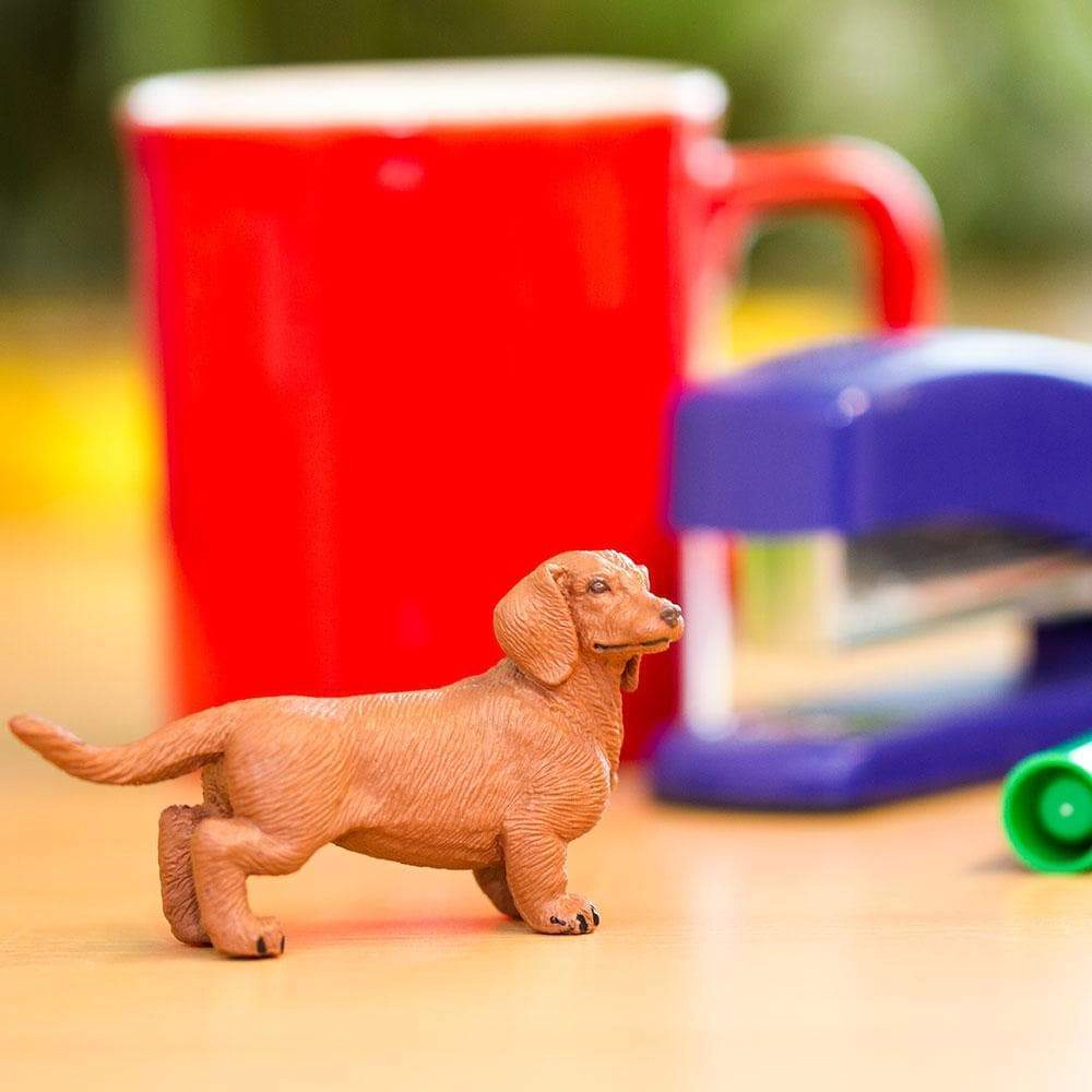 Safari Ltd. - Dachshund Kids Toy Figure
